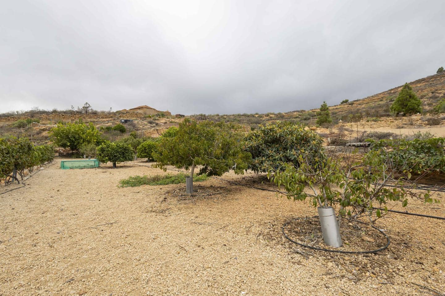 Terre non Aménagée à vendre à Arico - 98 000 € (Ref: 9363364)