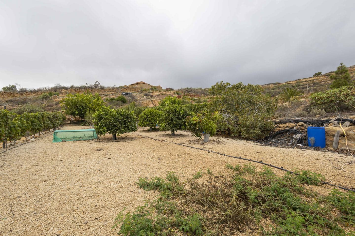 Terre non Aménagée à vendre à Arico - 98 000 € (Ref: 9363364)