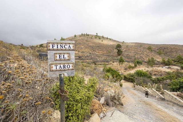 Undeveloped Land for sale in Arico - € 98,000 (Ref: 9363364)