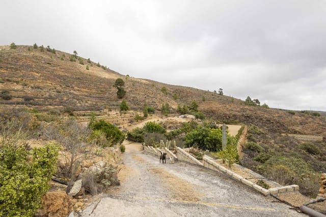 Undeveloped Land for sale in Arico - € 98,000 (Ref: 9363364)