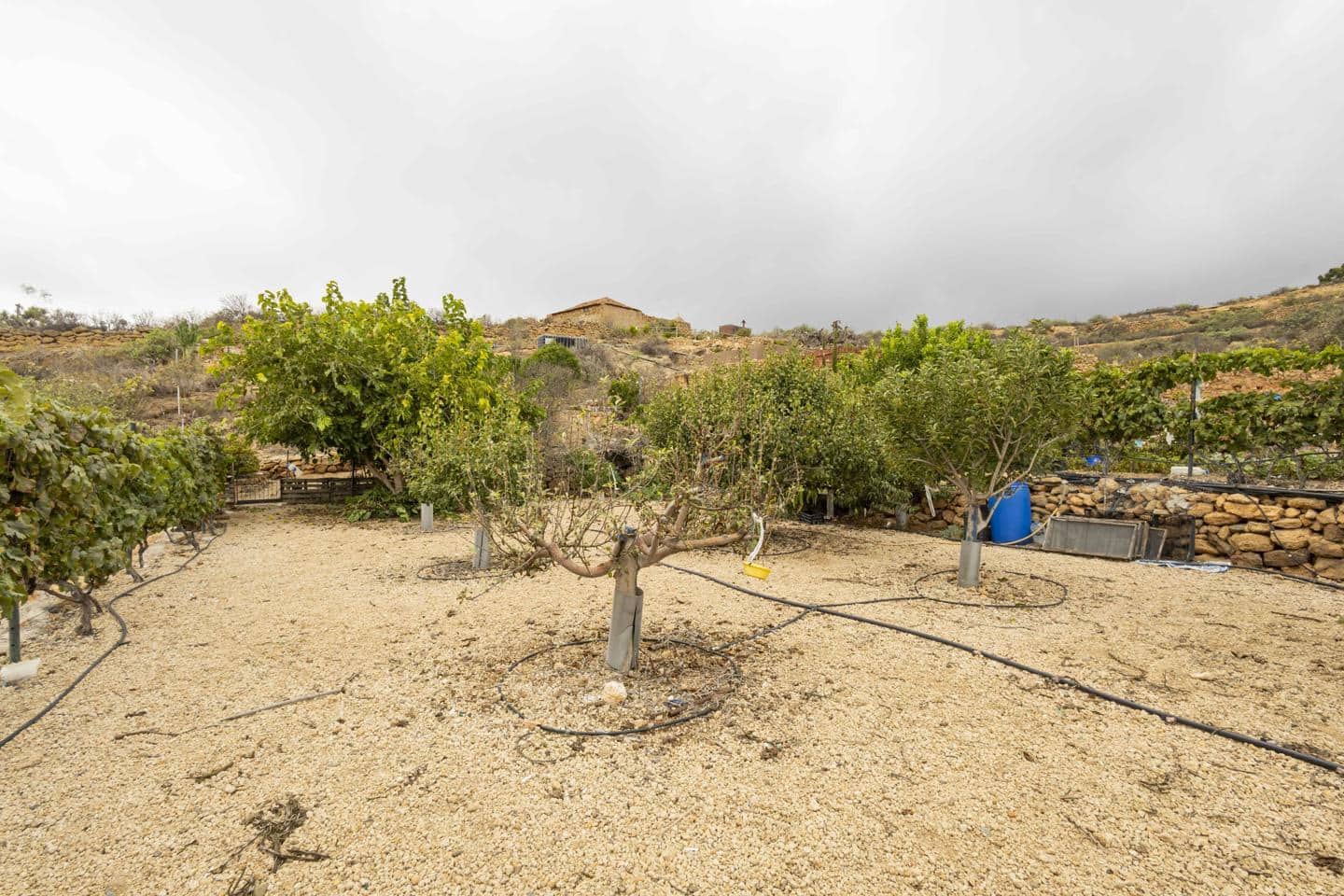 Terre non Aménagée à vendre à Arico - 98 000 € (Ref: 9363364)