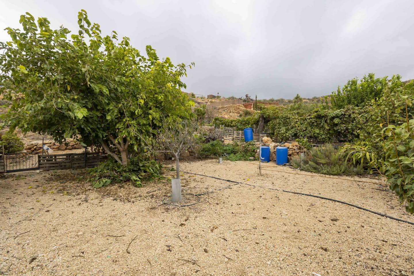 Terre non Aménagée à vendre à Arico - 98 000 € (Ref: 9363364)