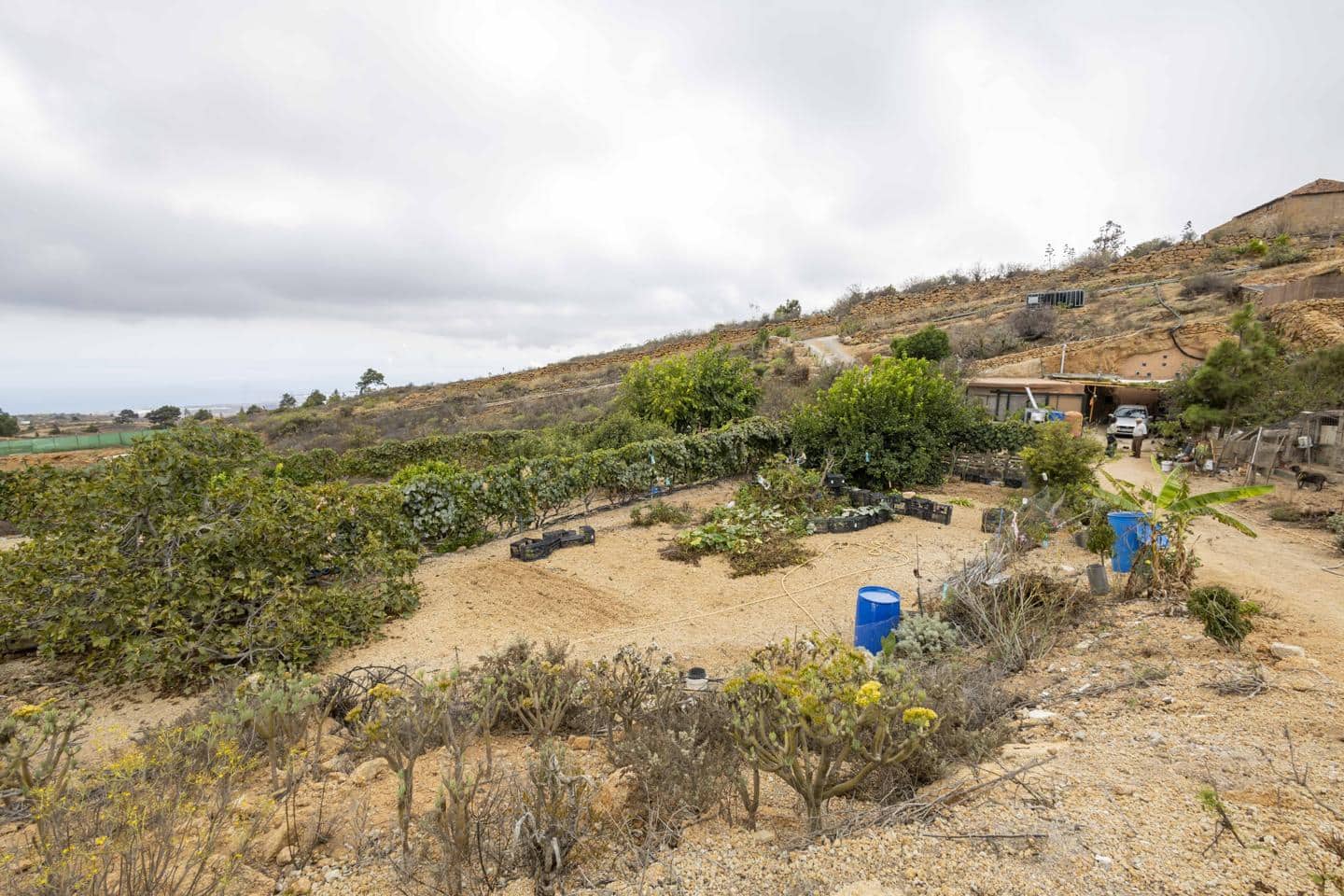 Terre non Aménagée à vendre à Arico - 98 000 € (Ref: 9363364)