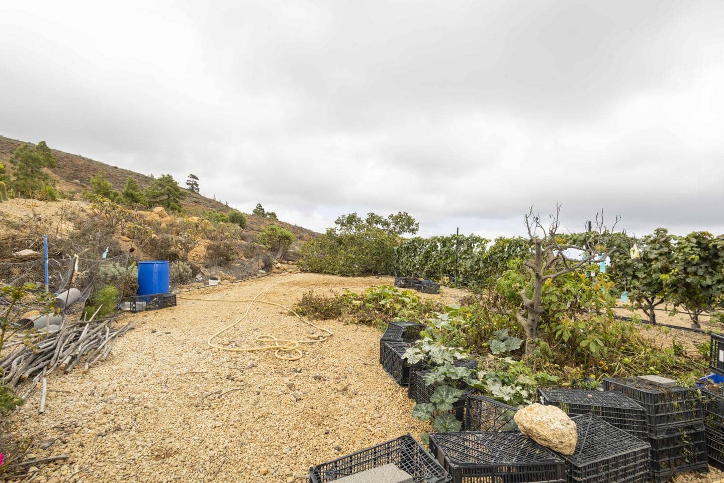 Terre non Aménagée à vendre à Arico - 98 000 € (Ref: 9363364)