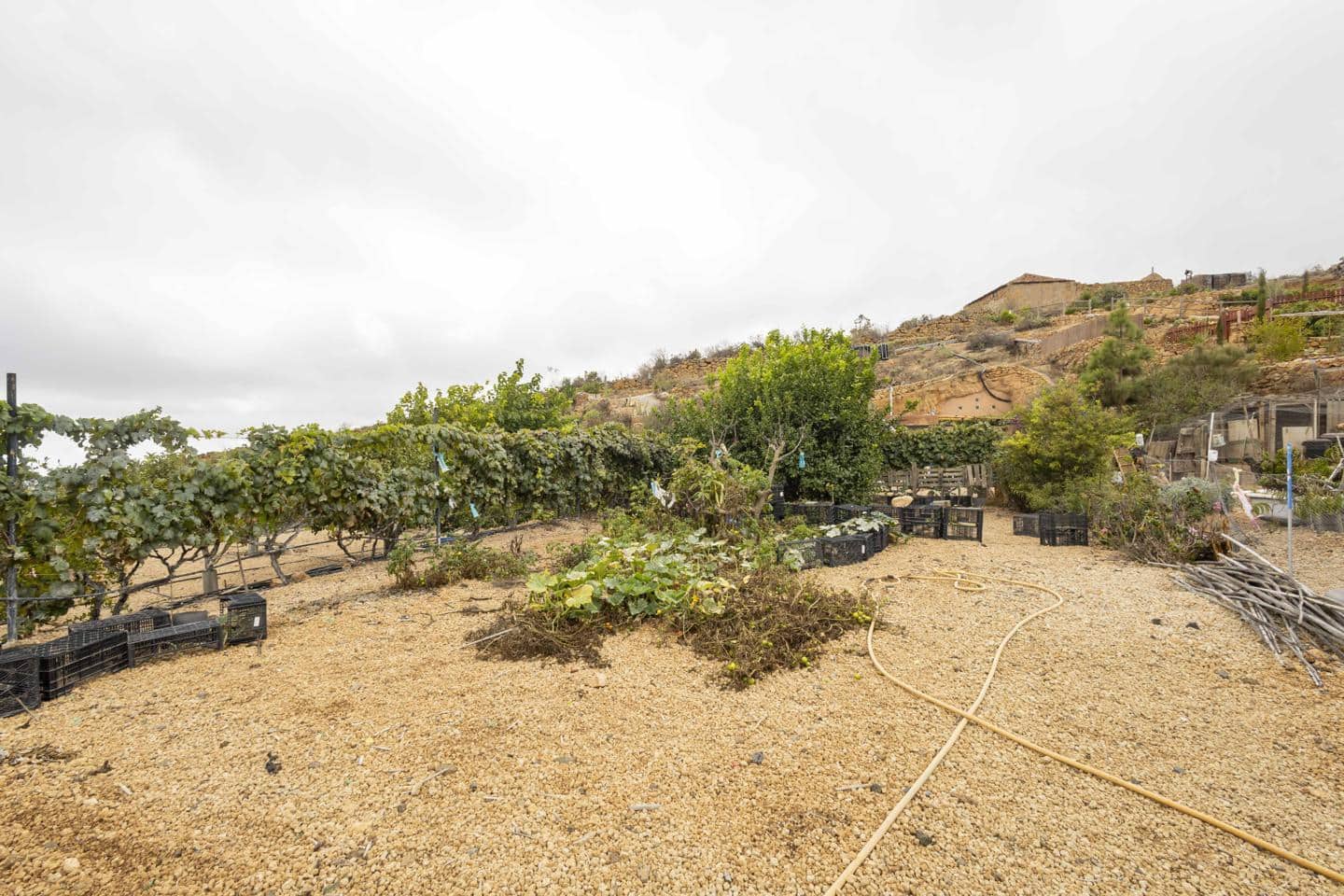 Terre non Aménagée à vendre à Arico - 98 000 € (Ref: 9363364)