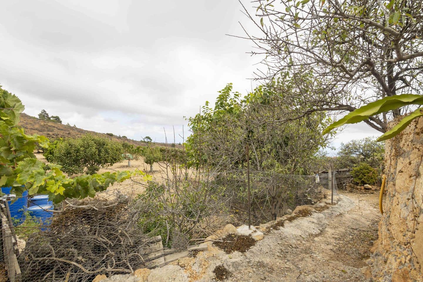 Terre non Aménagée à vendre à Arico - 98 000 € (Ref: 9363364)