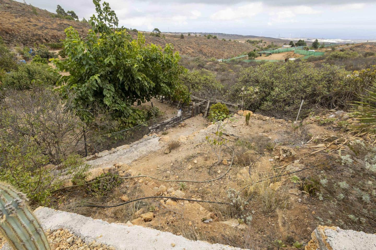 Terre non Aménagée à vendre à Arico - 98 000 € (Ref: 9363364)