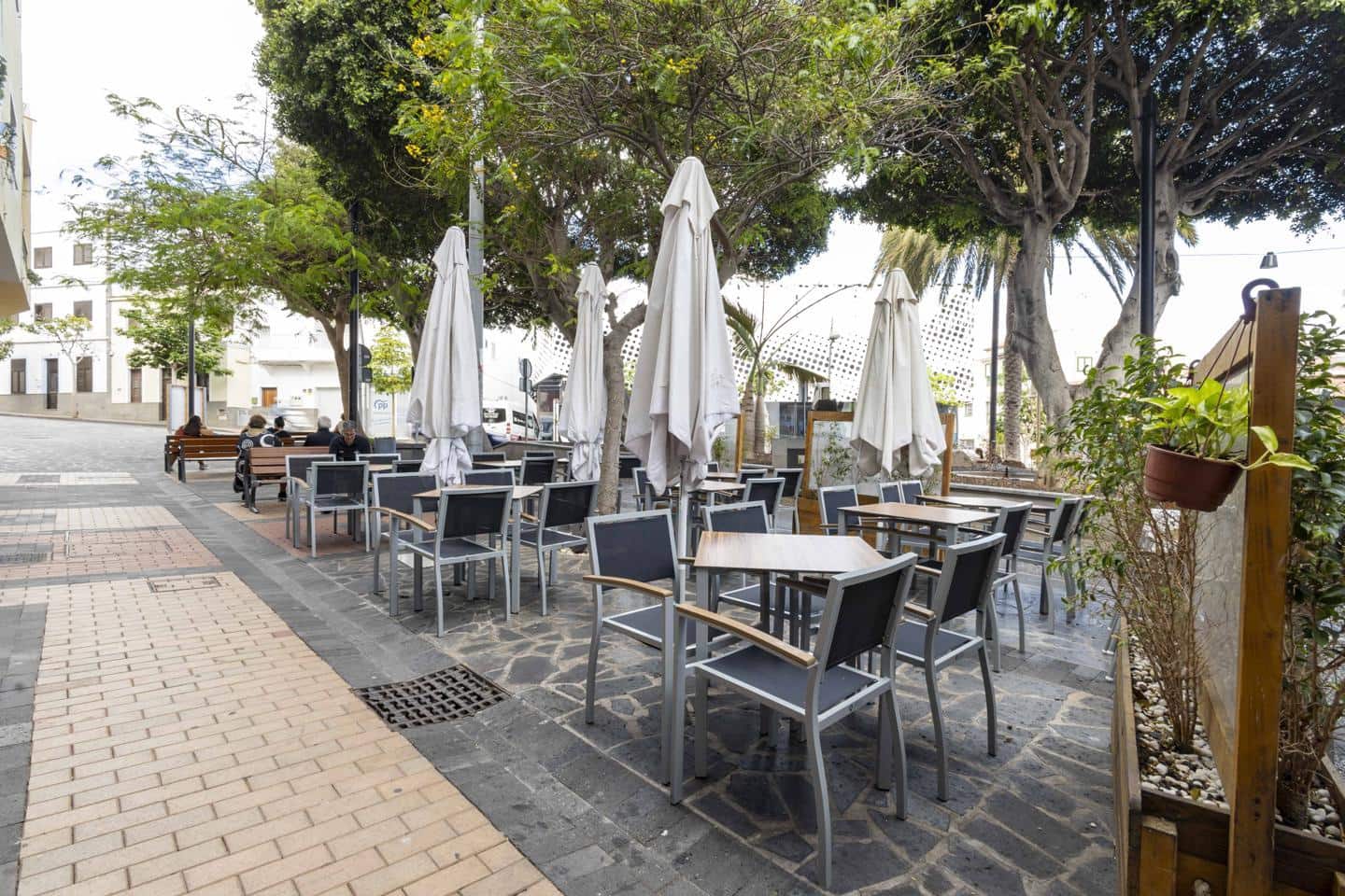 1 Zimmer Firma/Unternehmen zu vermieten in Candelaria - 600 € (Ref: 9384026)