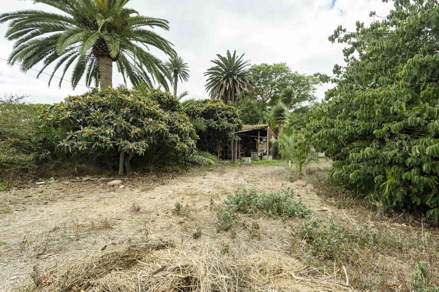 2 quarto Moradia para venda em San Cristobal de La Laguna - 440 000 € (Ref: 9420081)