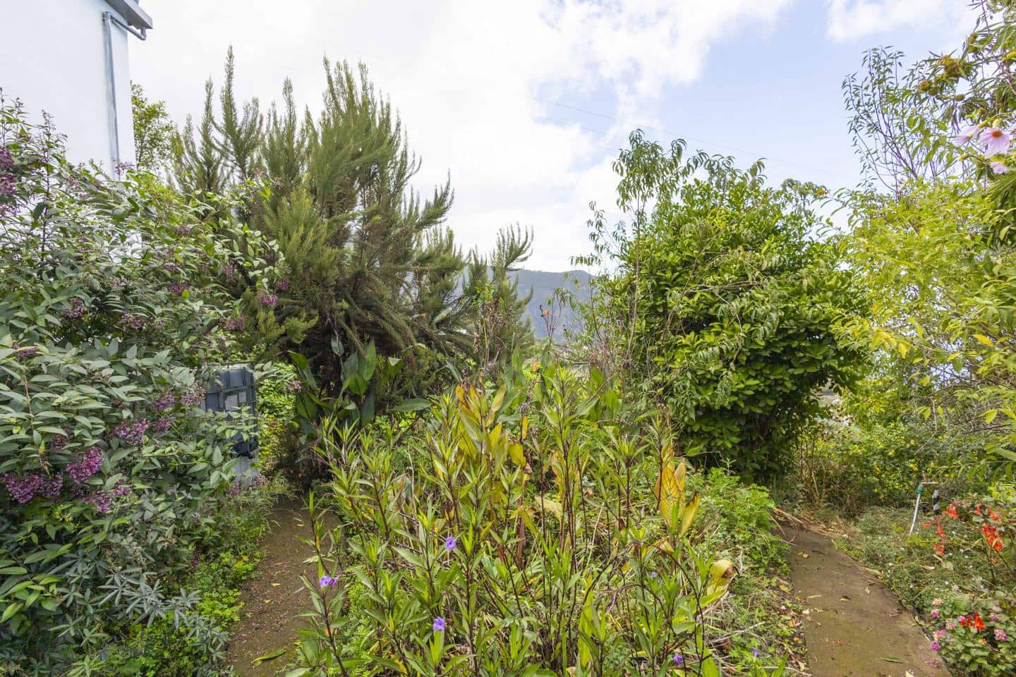 3 slaapkamer Villa te koop in Los Realejos - € 239.999 (Ref: 9420082)