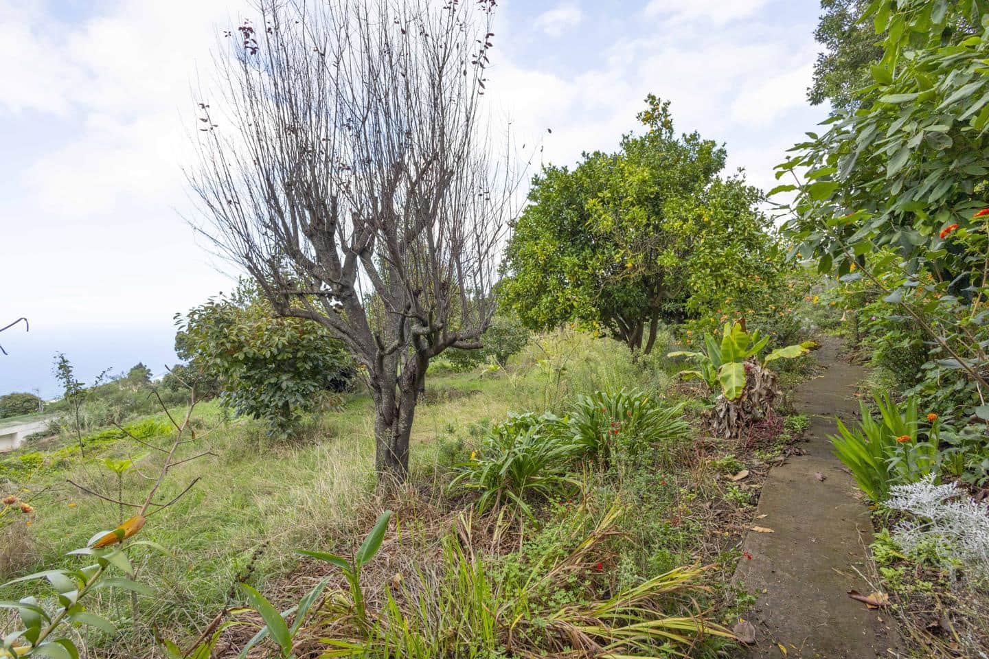 3 slaapkamer Villa te koop in Los Realejos - € 239.999 (Ref: 9420082)