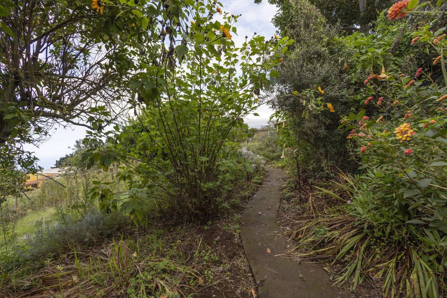 3 slaapkamer Villa te koop in Los Realejos - € 239.999 (Ref: 9420082)