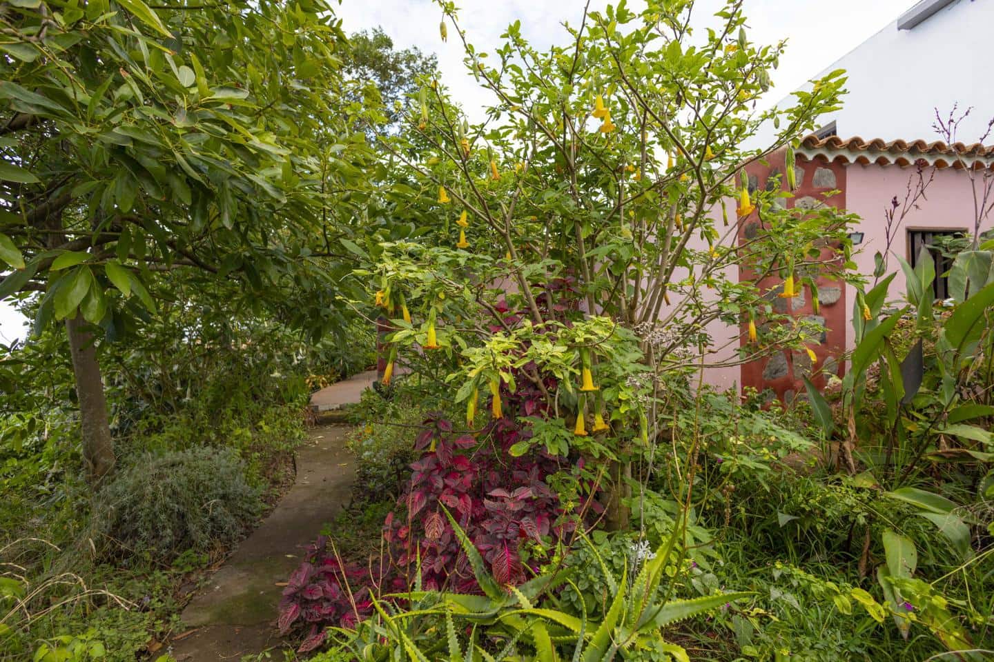 3 slaapkamer Villa te koop in Los Realejos - € 239.999 (Ref: 9420082)