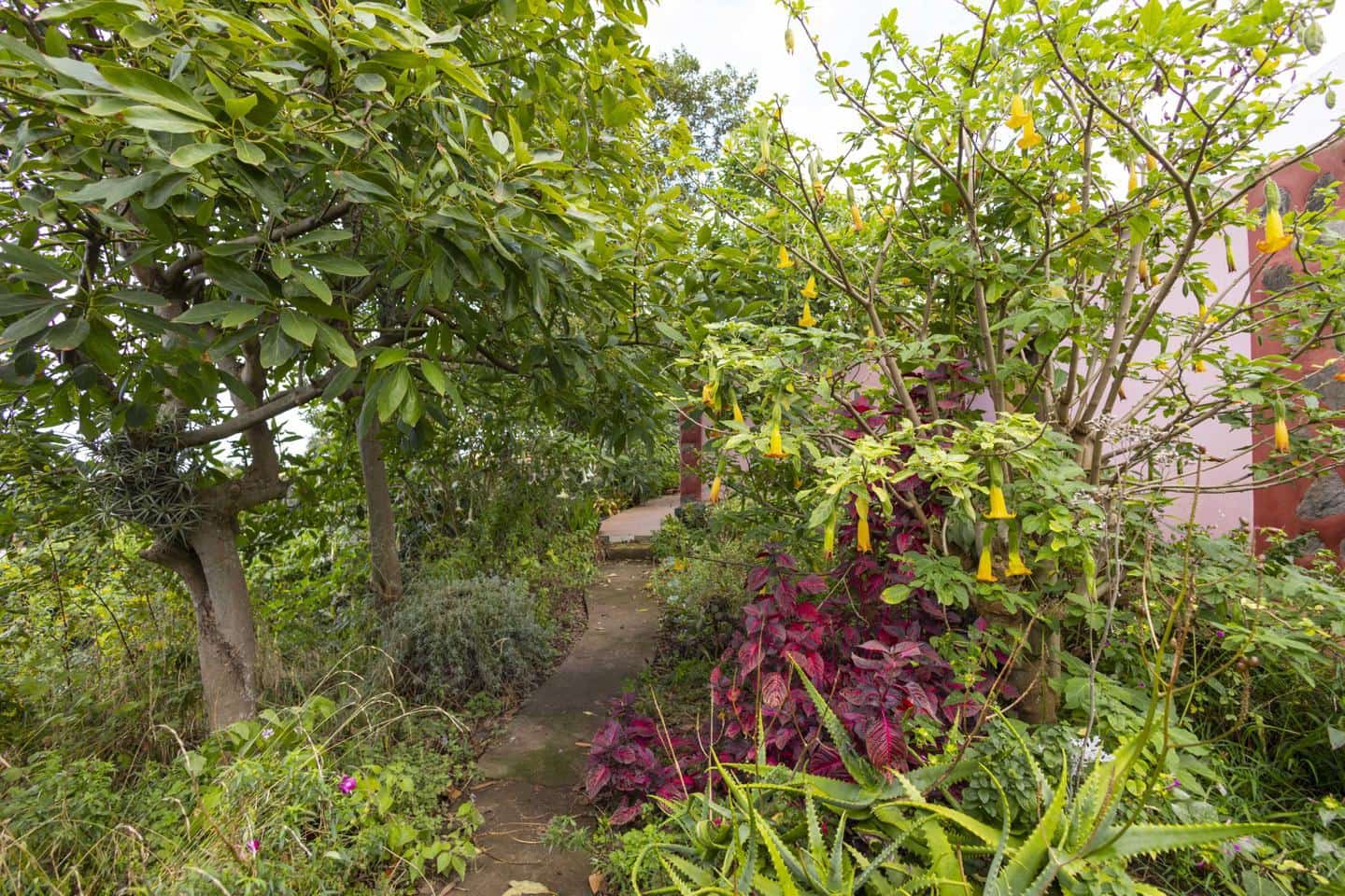 3 slaapkamer Villa te koop in Los Realejos - € 239.999 (Ref: 9420082)