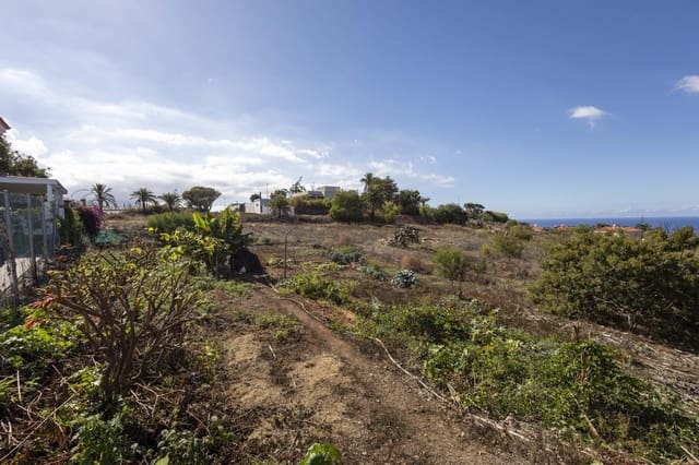 Undeveloped Land for sale in La Quinta, Santa Ursula - € 297,000 (Ref: 9495328)