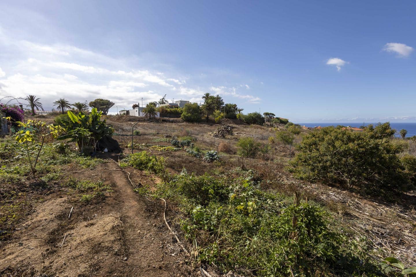 Undeveloped Land for sale in La Quinta - € 297,000 (Ref: 9495328)