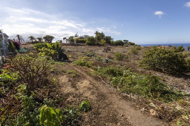 Undeveloped Land for sale in La Quinta, Santa Ursula - € 297,000 (Ref: 9495328)