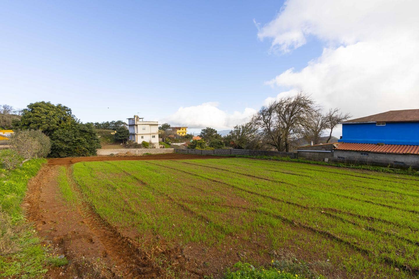 Landgrundstück zu verkaufen in La Esperanza - 99.000 € (Ref: 9495579)