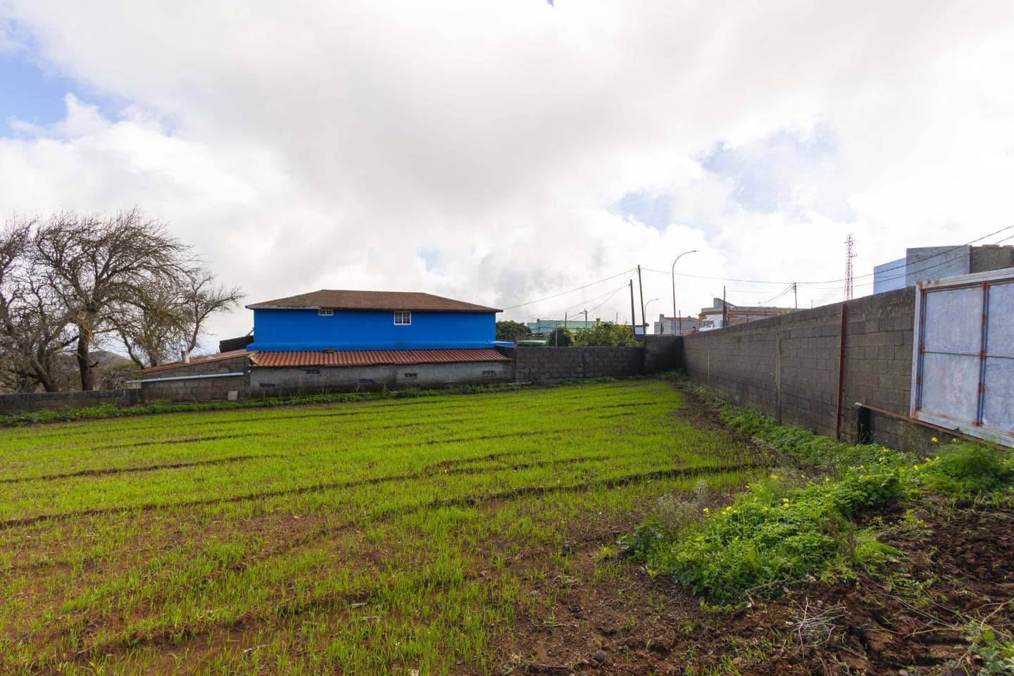 Landgrundstück zu verkaufen in La Esperanza - 99.000 € (Ref: 9495579)