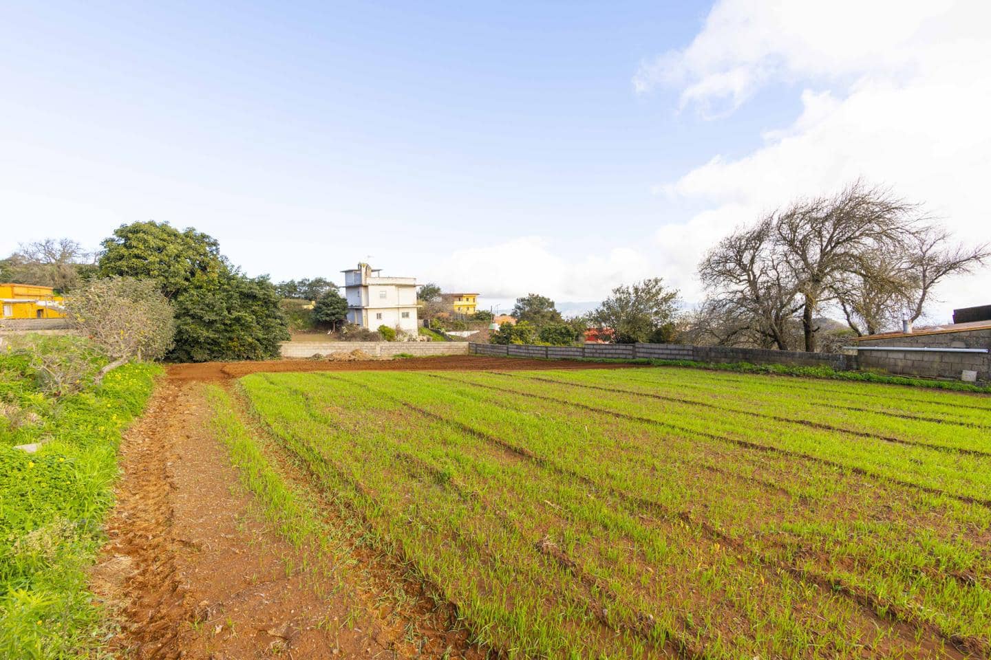 Landgrundstück zu verkaufen in La Esperanza - 99.000 € (Ref: 9495579)