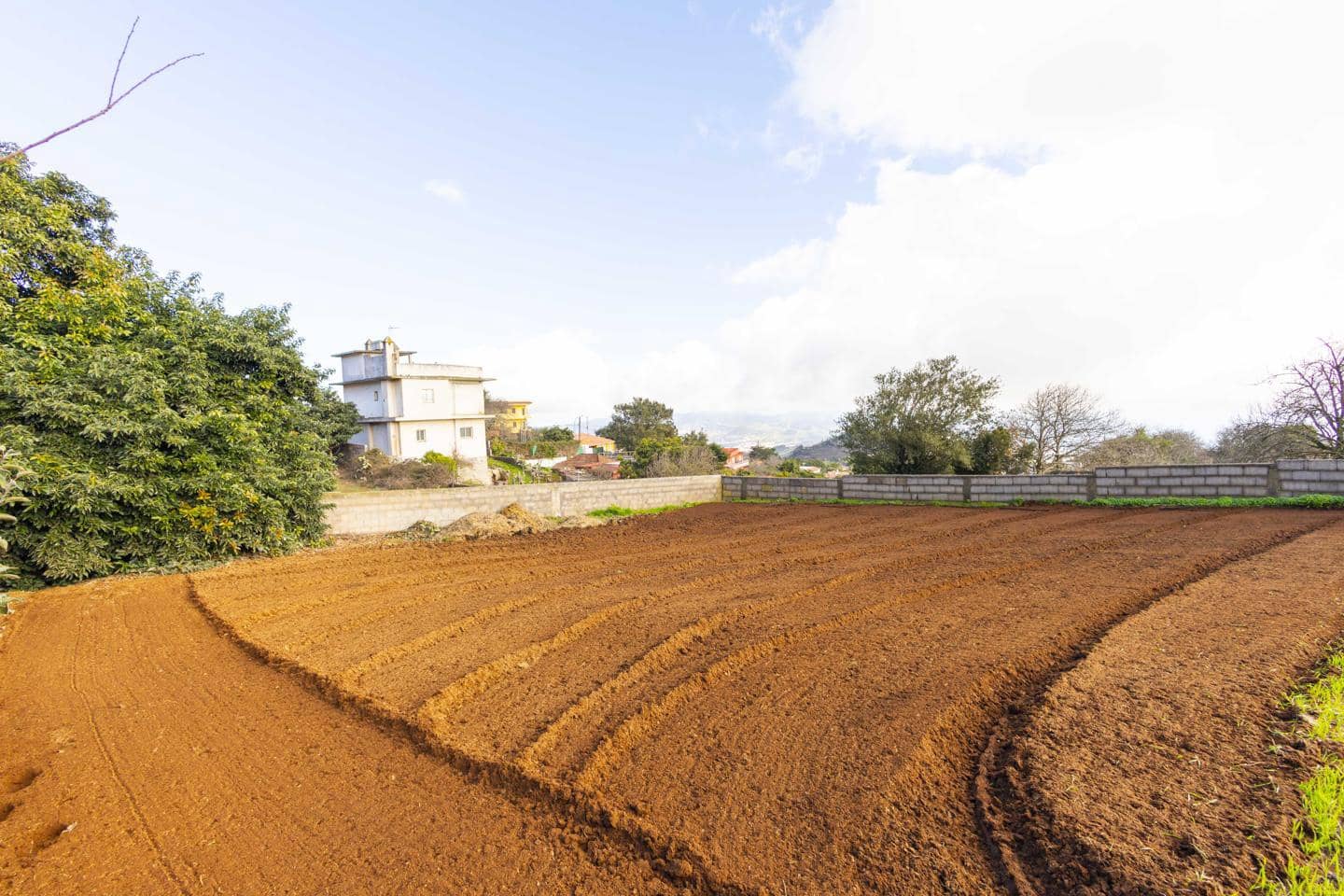 Landgrundstück zu verkaufen in La Esperanza - 99.000 € (Ref: 9495579)