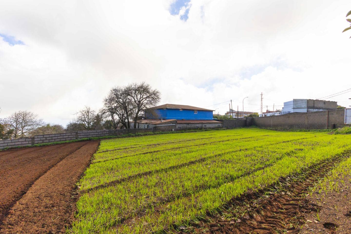 Landgrundstück zu verkaufen in La Esperanza - 99.000 € (Ref: 9495579)