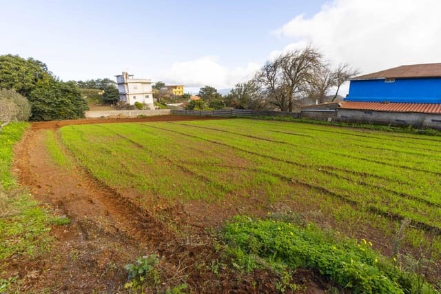 Landgrundstück zu verkaufen in La Esperanza, El Rosario - 99.000 € (Ref: 9495579)
