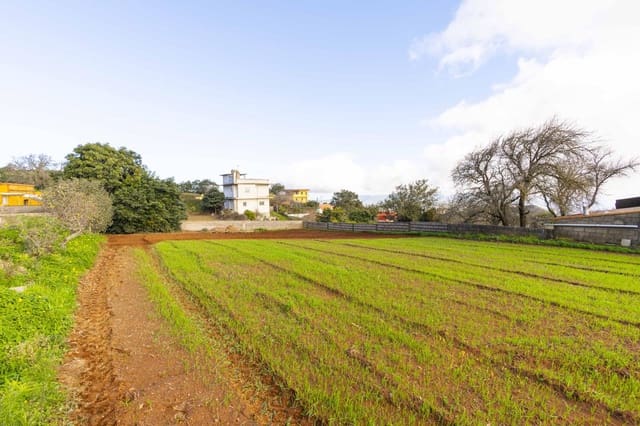 Landgrundstück zu verkaufen in La Esperanza, El Rosario - 99.000 € (Ref: 9495579)