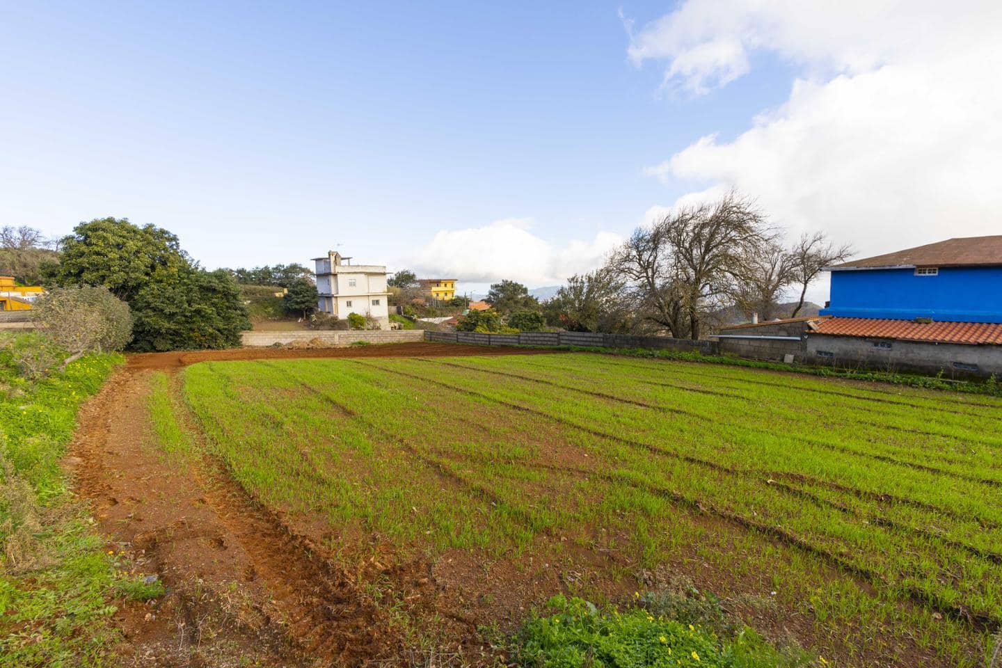 Landgrundstück zu verkaufen in La Esperanza - 99.000 € (Ref: 9495579)