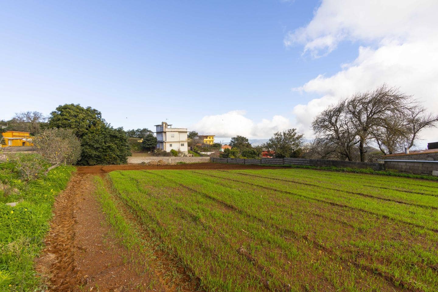 Landgrundstück zu verkaufen in La Esperanza - 99.000 € (Ref: 9495579)