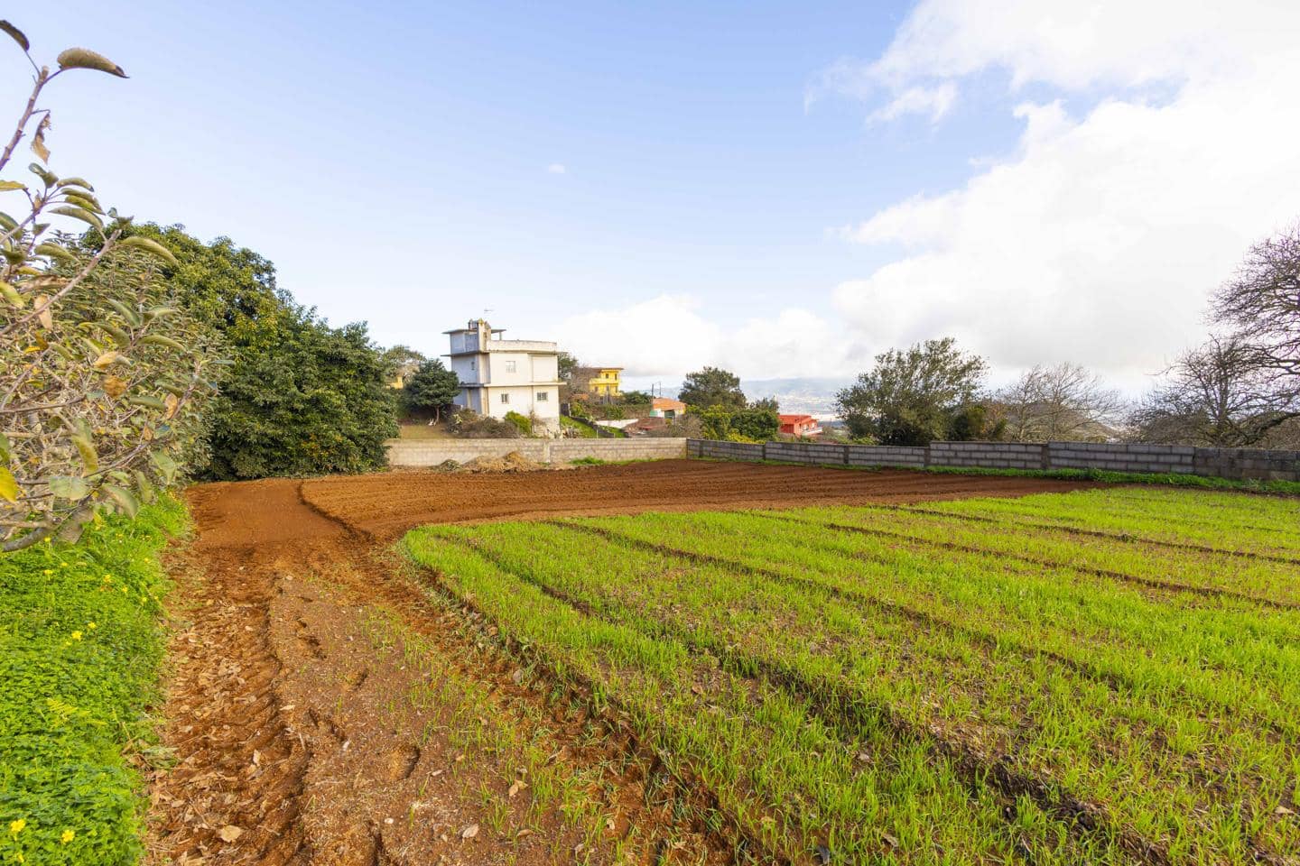 Landgrundstück zu verkaufen in La Esperanza - 99.000 € (Ref: 9495579)