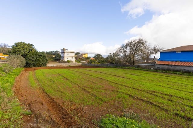 Landgrundstück zu verkaufen in La Esperanza, El Rosario - 99.000 € (Ref: 9495579)