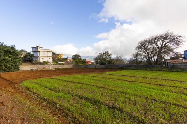 Landgrundstück zu verkaufen in La Esperanza, El Rosario - 99.000 € (Ref: 9495579)