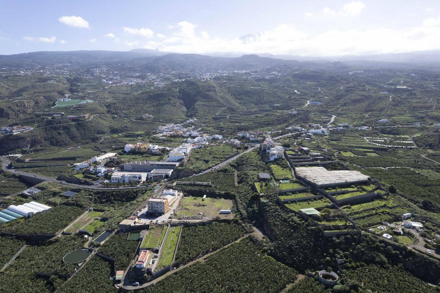 Undeveloped Land for sale in La Guancha - € 180,000 (Ref: 9535273)