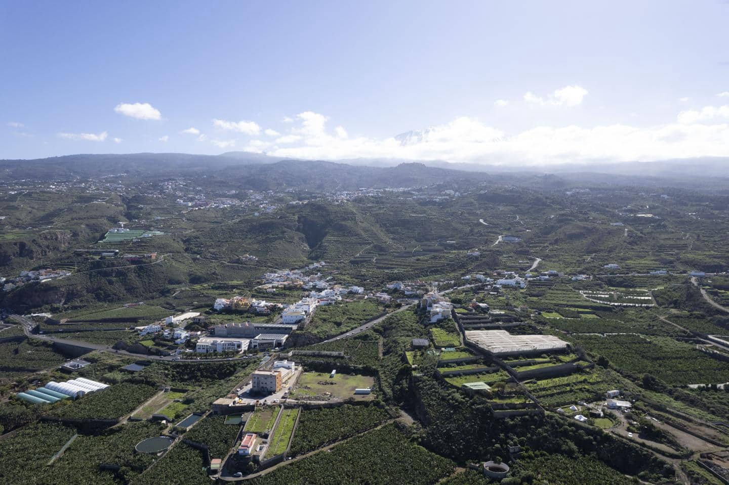 Undeveloped Land for sale in La Guancha - € 180,000 (Ref: 9535273)