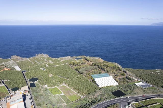 Terre non Aménagée à vendre à La Guancha - 180 000 € (Ref: 9535273)