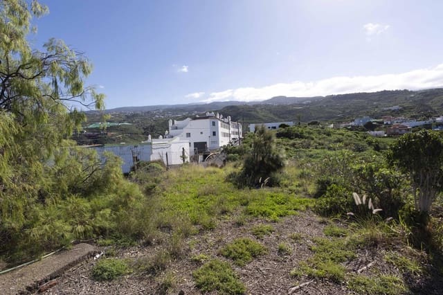 Terre non Aménagée à vendre à La Guancha - 180 000 € (Ref: 9535273)
