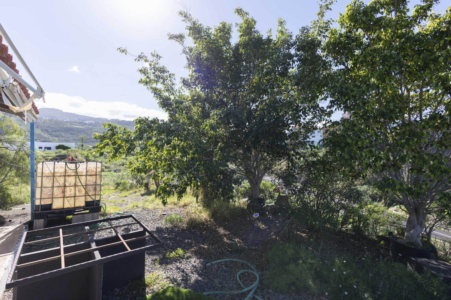 Undeveloped Land for sale in La Guancha - € 180,000 (Ref: 9535273)