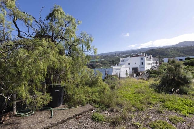 Terre non Aménagée à vendre à La Guancha - 180 000 € (Ref: 9535273)