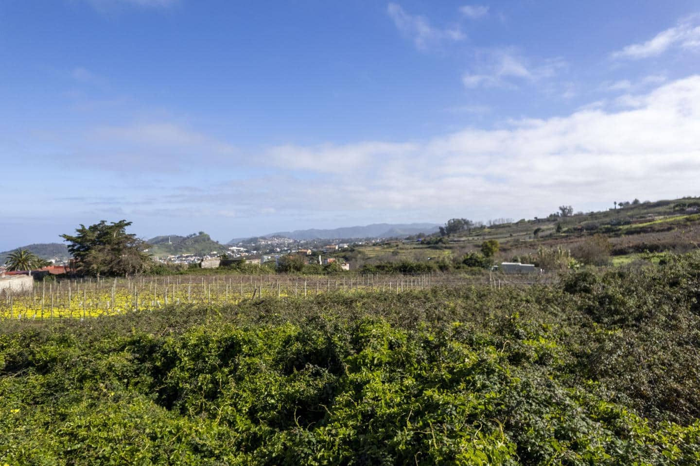 Grond te koop in Tacoronte - € 150.000 (Ref: 9566773)