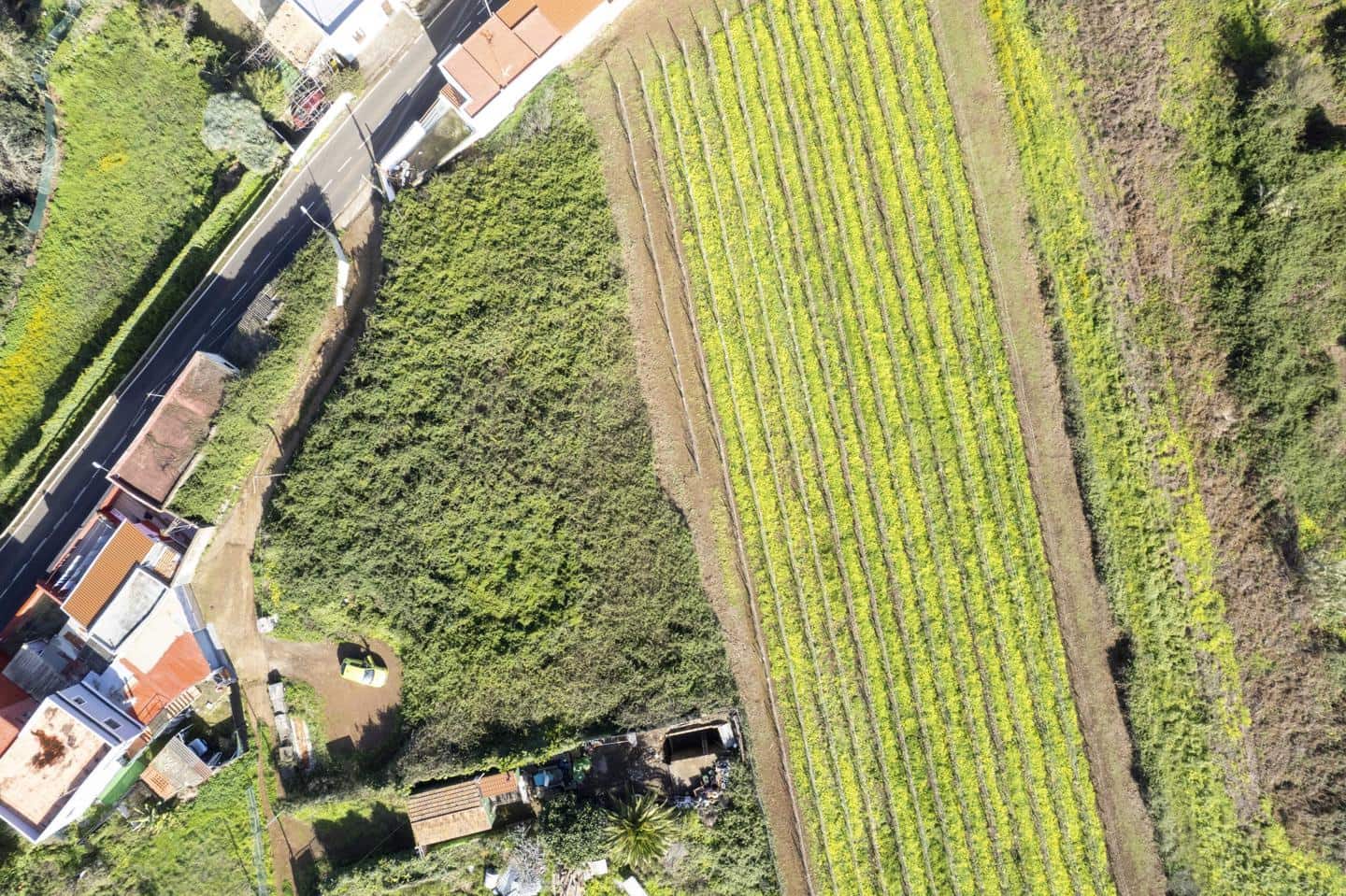 Grond te koop in Tacoronte - € 150.000 (Ref: 9566773)