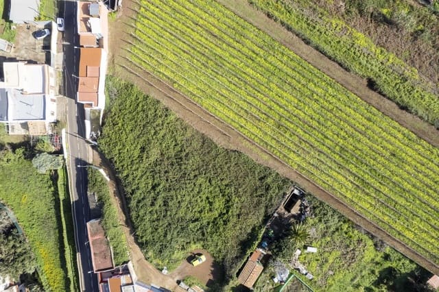 Grond te koop in Tacoronte - € 150.000 (Ref: 9566773)