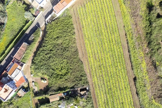 Grond te koop in Tacoronte - € 150.000 (Ref: 9566773)