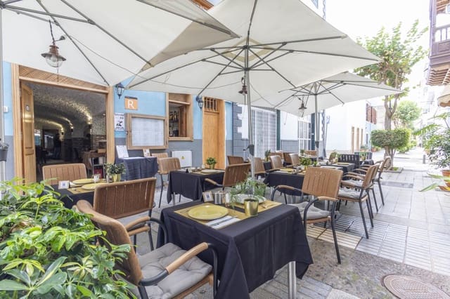 1 soveværelse Virksomhed til leje i Puerto de la Cruz - € 2.000 (Ref: 9598136)