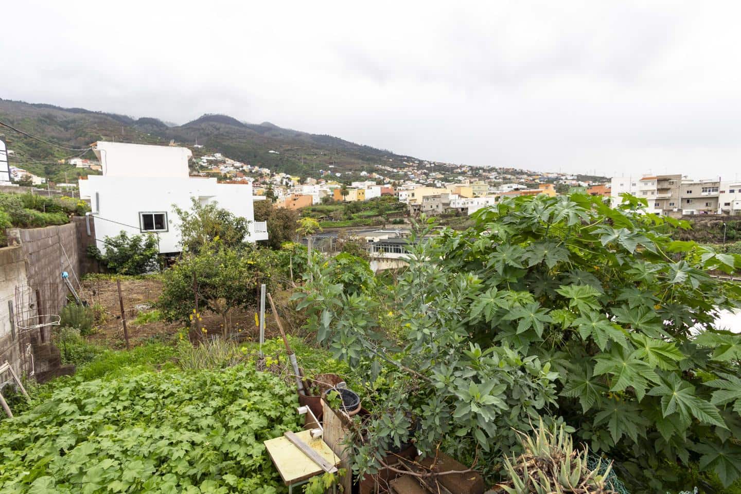 2 Zimmer Wohnung zu verkaufen in La Victoria de Acentejo - 99.000 € (Ref: 9609563)