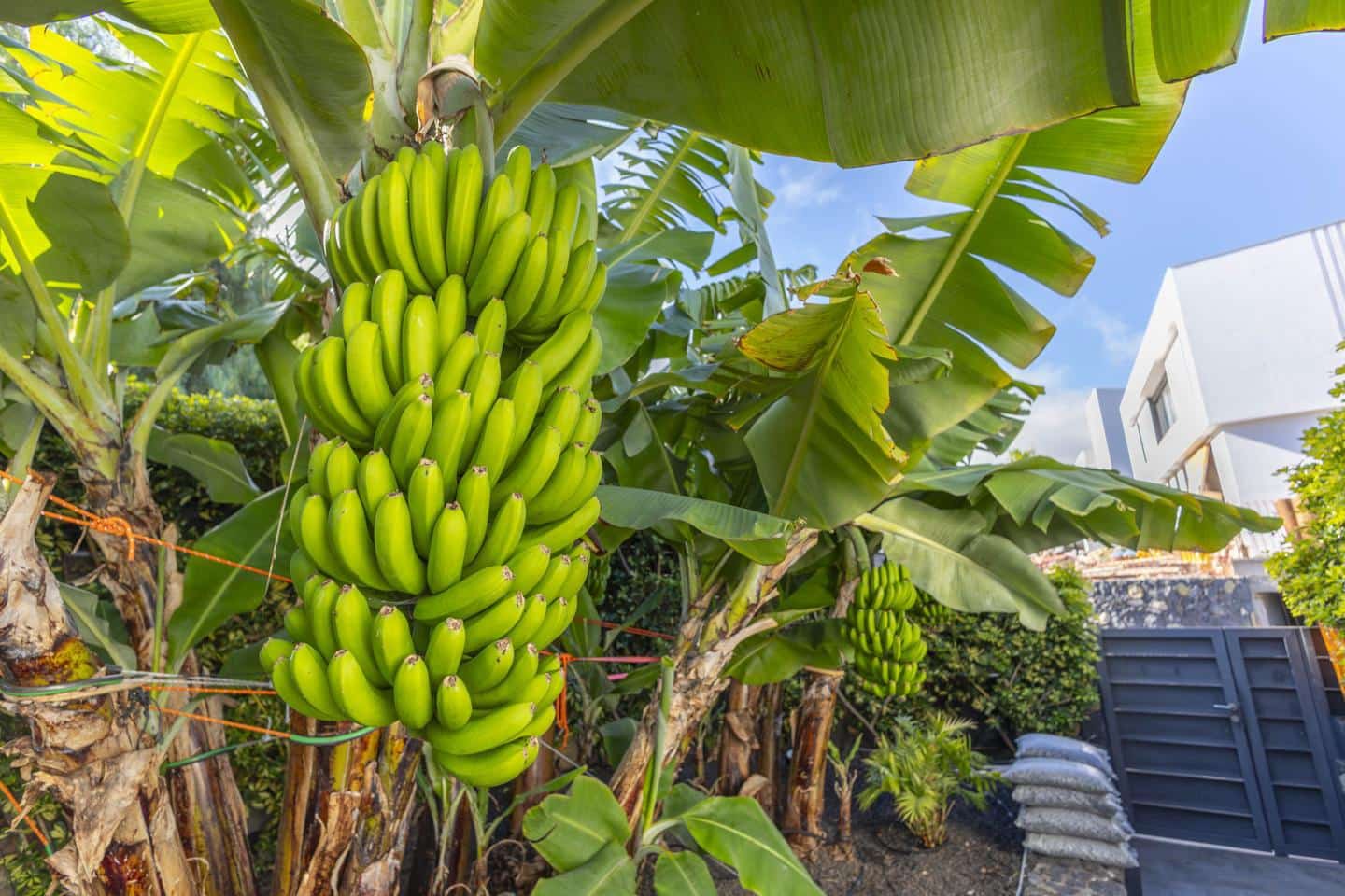 Chalet de 3 habitaciones en Santa Ursula en venta - 1.549.000 € (Ref: 9626122)