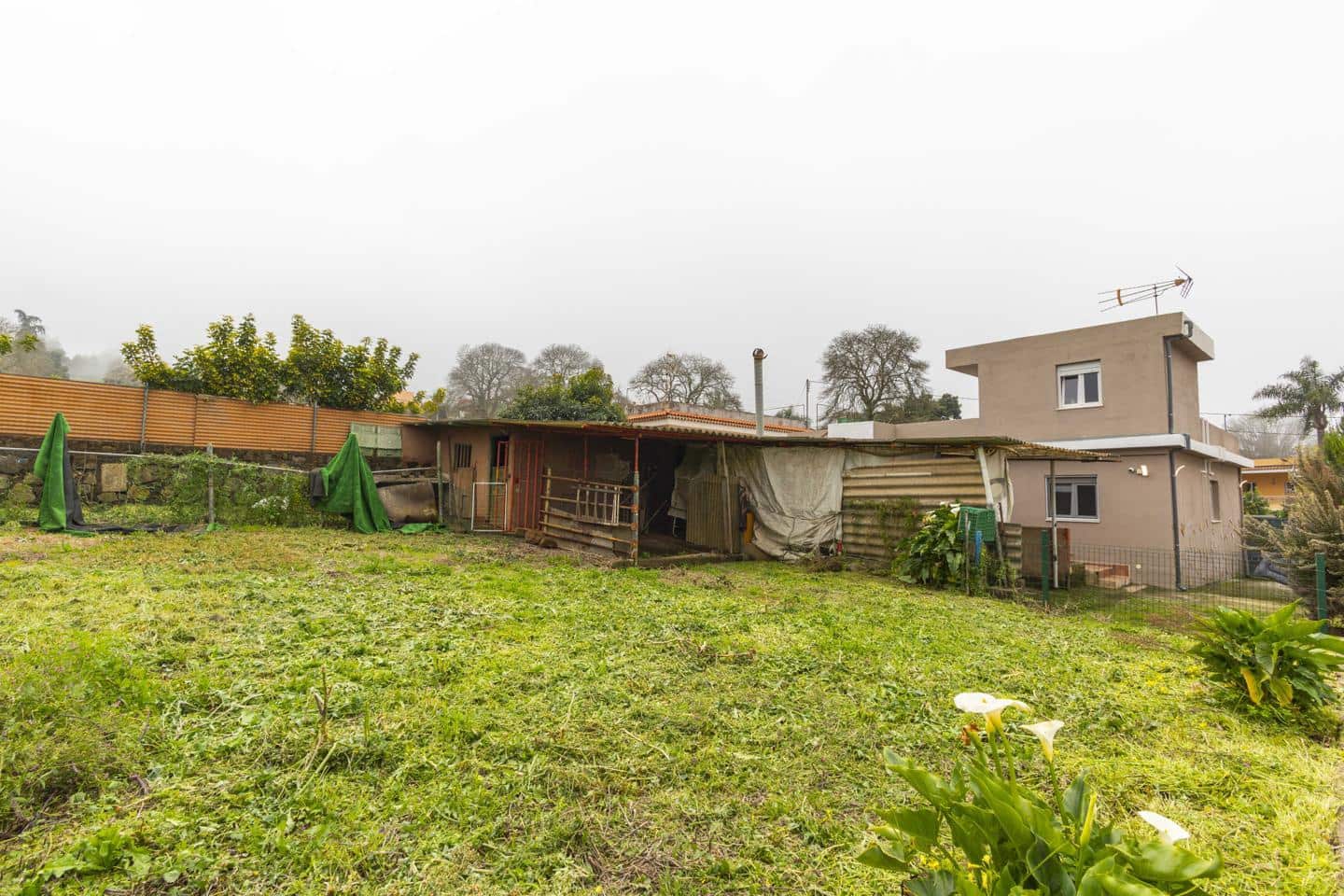 3 Zimmer Villa zu verkaufen in El Sauzal - 356.000 € (Ref: 9650462)