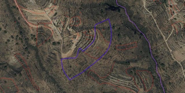 Terreno/Finca Rústica en Arico en venta - 25.000 € (Ref: 9665420)