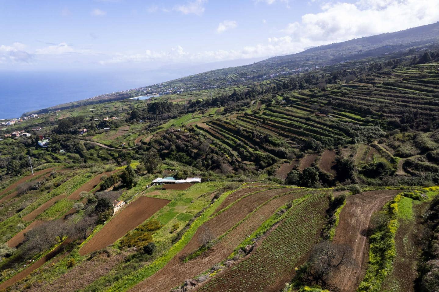 Undeveloped Land for sale in San Juan de la Rambla - € 67,000 (Ref: 9700100)