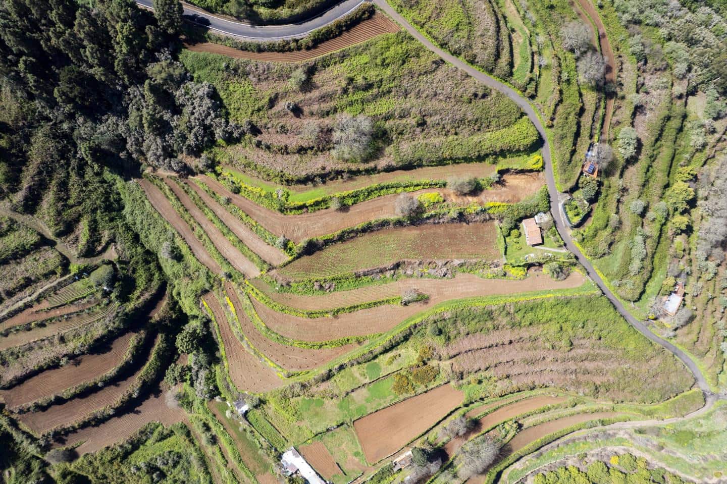 Undeveloped Land for sale in San Juan de la Rambla - € 67,000 (Ref: 9700100)